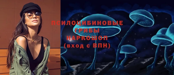 стаф Армянск