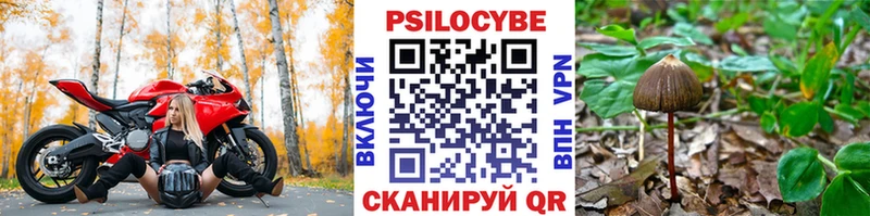 Псилоцибиновые грибы мухоморы Ипатово
